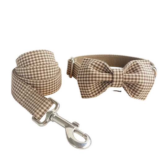 Collier et Laisse pour chien