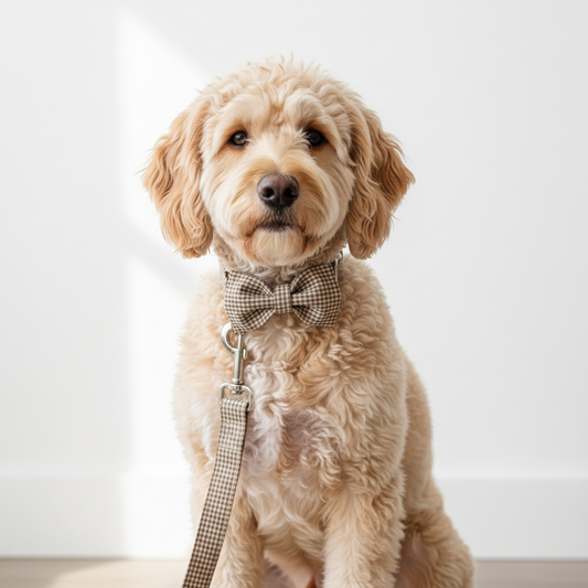 Collier et laisse à carreaux beige et marron avec nœud papillon assorti porté par un golden doodle — ensemble accessoires chien élégant et raffiné