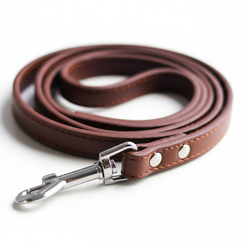 Laisse pour chien en cuir