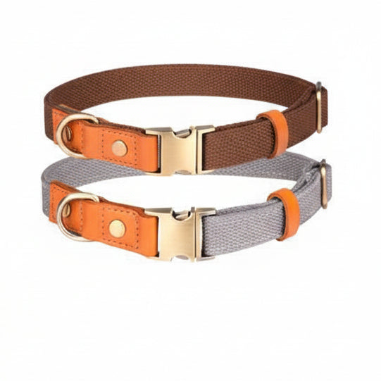 Collier et laisse pour Chien en Cuir