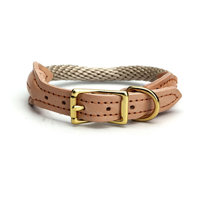 Collier pour Chien en Nylon