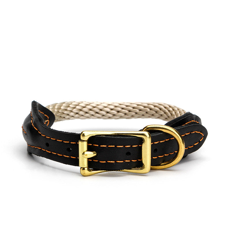 Collier pour Chien en Nylon