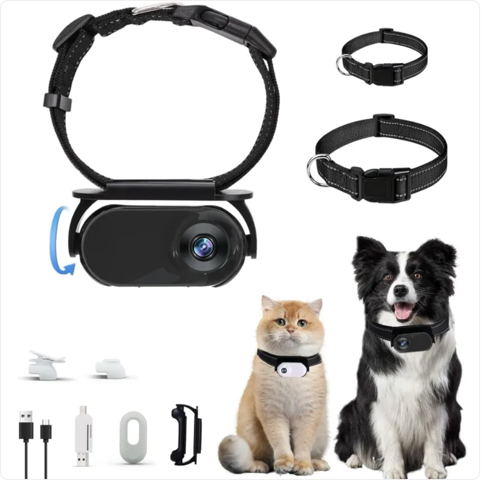 Caméra pour collier pour animaux de compagnie