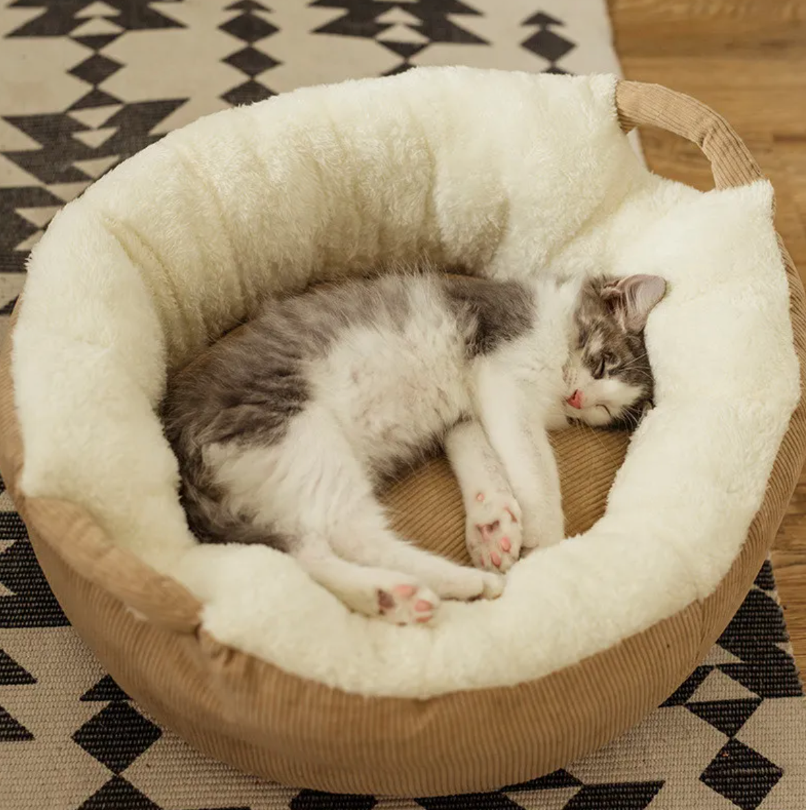 Chaton gris et blanc endormi dans un panier rond en velours crème et osier — corbeille chat douce et naturelle