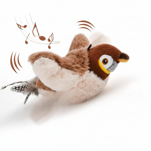 Jouets interactifs pour chats, oiseaux