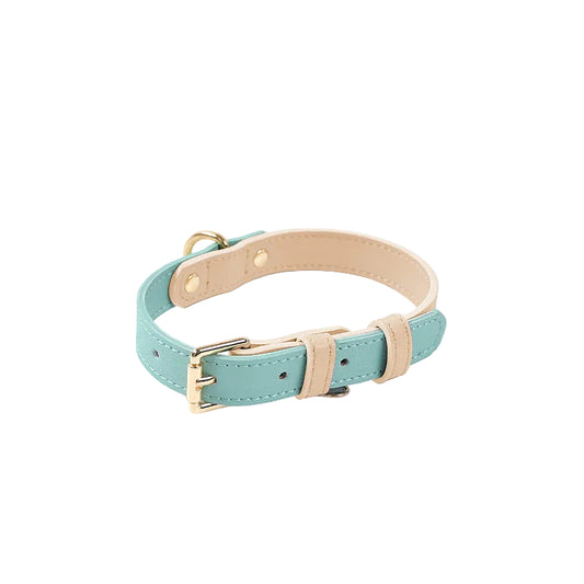 Laisse et Collier en Cuir pour Chien