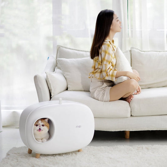 Litière fermée design blanc arrondie sur pieds bois avec chat exotic shorthair à l'entrée dans un salon épuré — litière chat fermée design intérieur discret