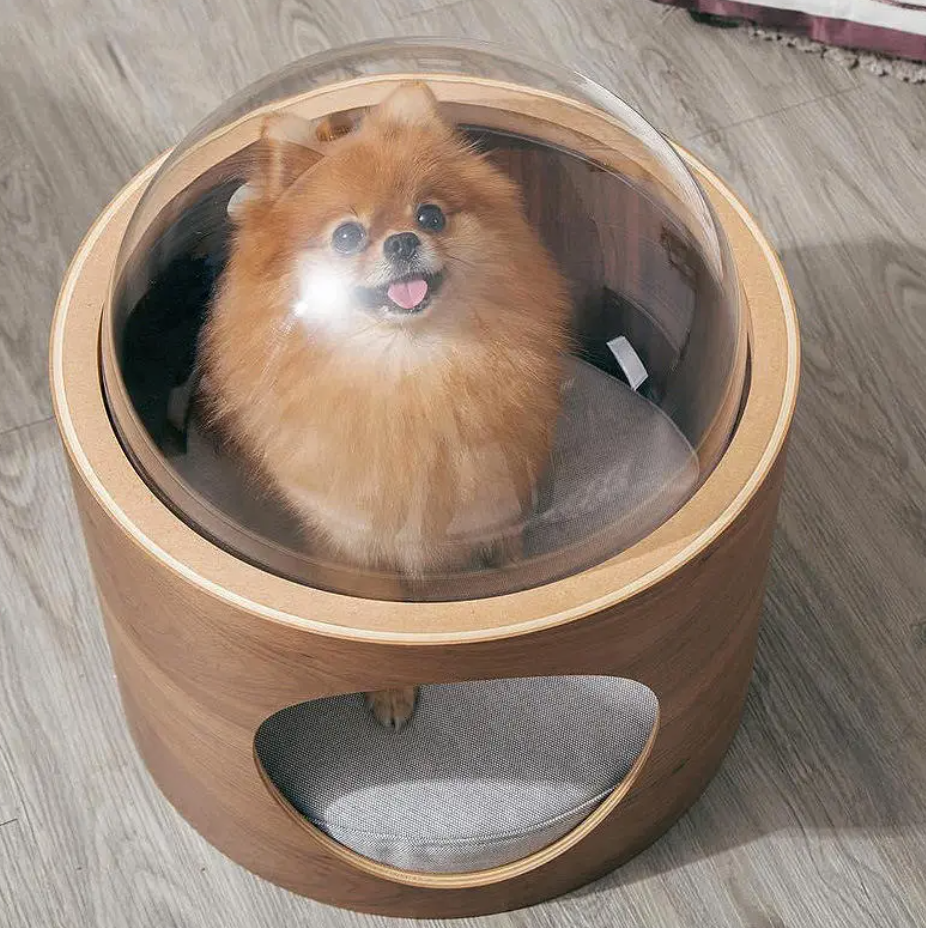 Nid Dôme Transparent pour chat
