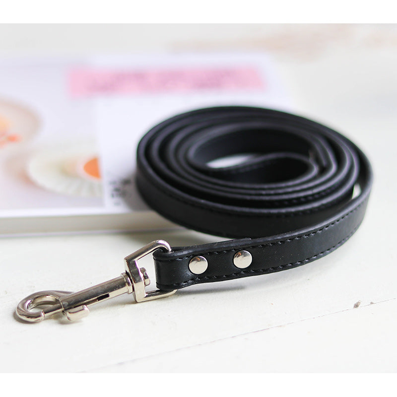 Laisse pour chien