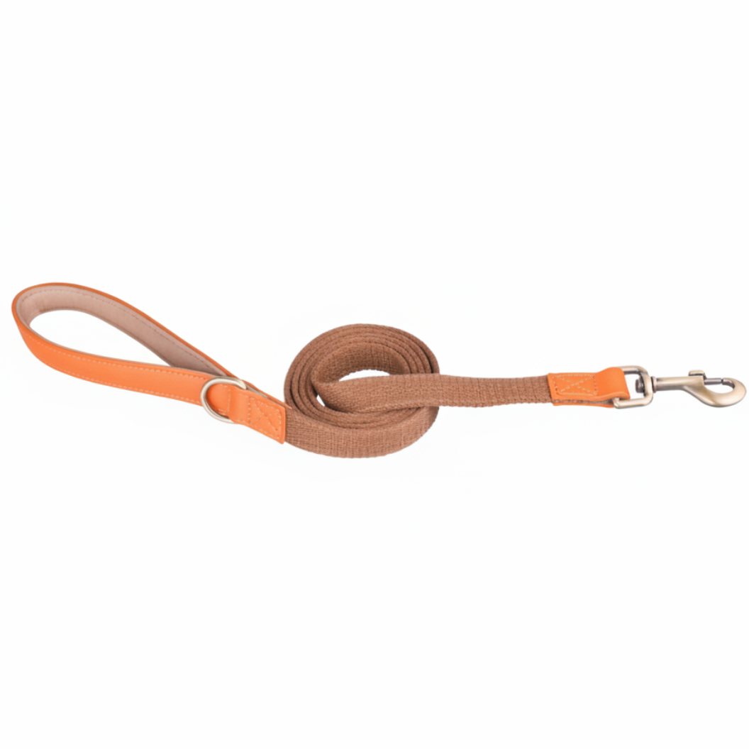 Collier et laisse pour Chien en Cuir