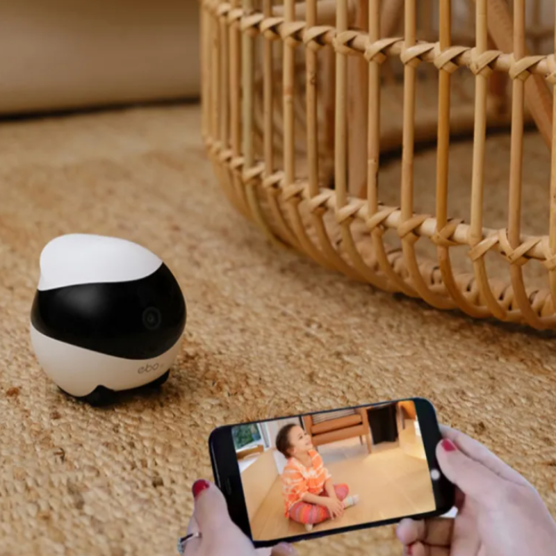 Robot caméra pour surveillance chiens et chats
