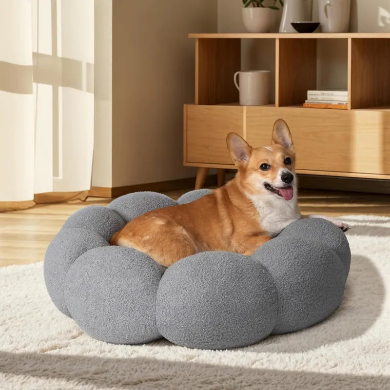 Corgi couché dans un nid rond en peluche gris dans un salon scandinave avec meuble en bois clair — panier design pour chien