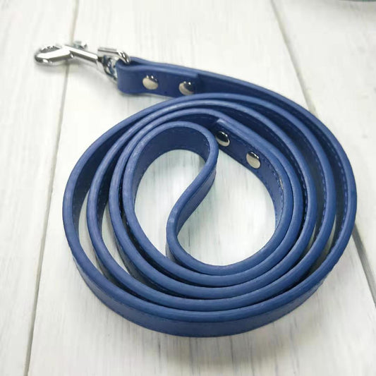 Laisse pour chien