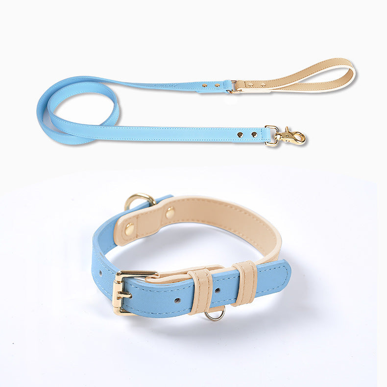 Laisse et Collier en Cuir pour Chien