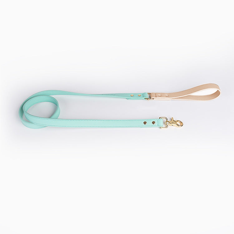 Laisse et Collier en Cuir pour Chien