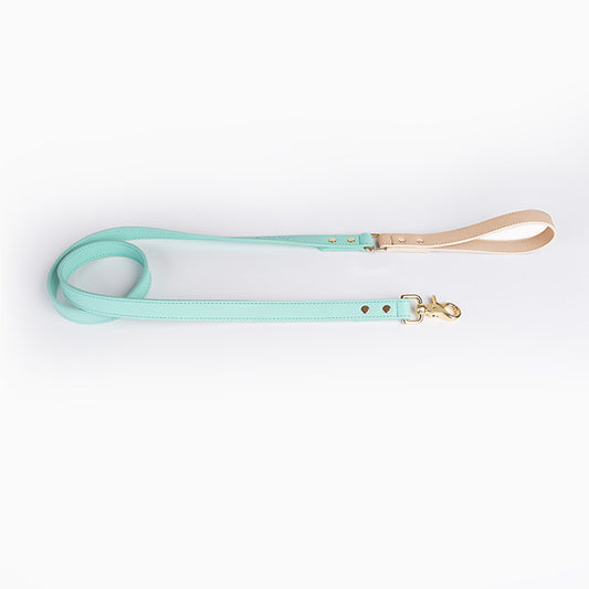 Laisse et Collier en Cuir pour Chien