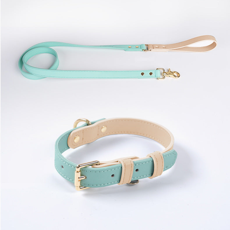 Laisse et Collier en Cuir pour Chien