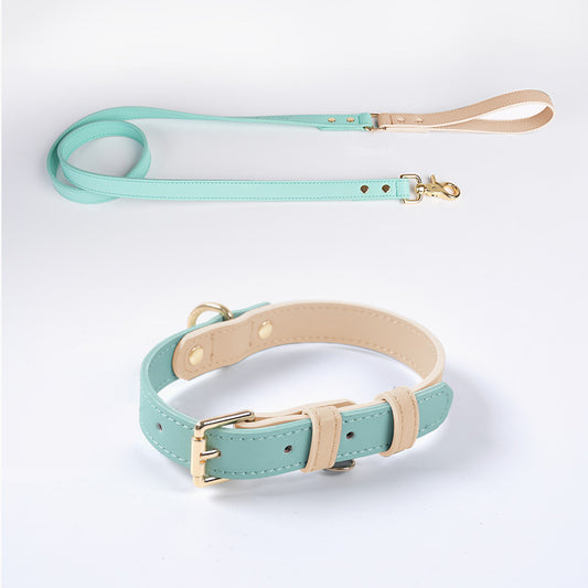 Laisse et Collier en Cuir pour Chien